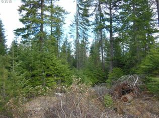 63 Lava Rd, Trout Lake, WA 98650