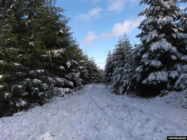 Gooseneck Rd, Sheridan, OR 97378