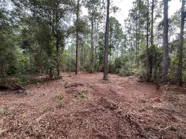 122 Glenside Street, Georgetown, FL 32139