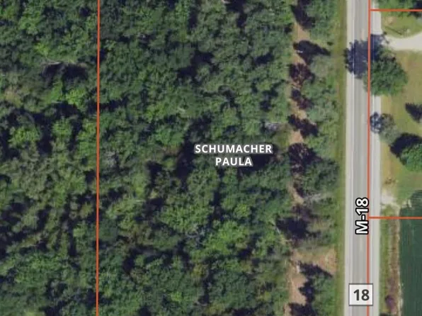 On S Roads #M18, Beaverton, MI 48612