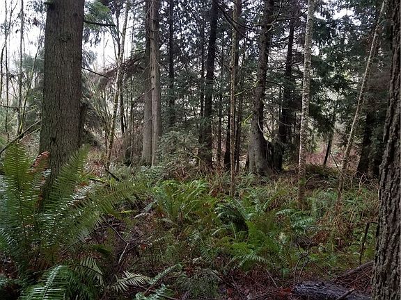 4th image of 7338 NE St Hwy 104
