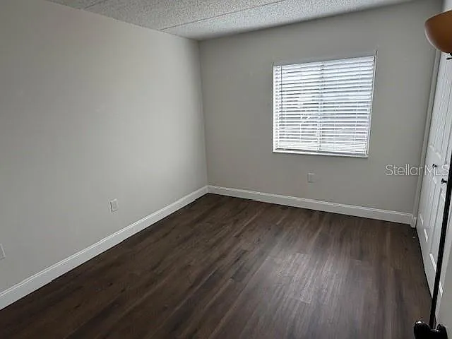 207 Palmetto Ct — Photo 21