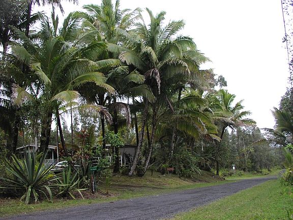 Private last cottage on Street - no direct neighbors.