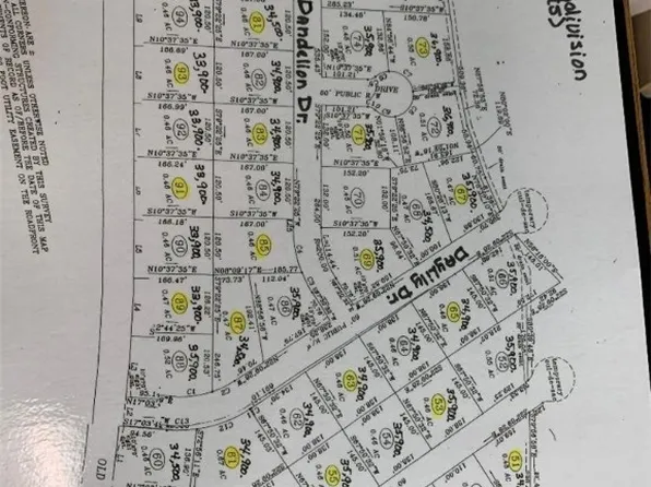 Dandelion Dr, Lumberton, NC 28360