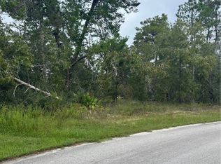 12 Palm Grass Ct, Homosassa, FL 34446