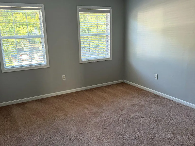 50 Dorothy Ln — Photo 19