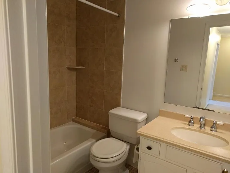 Hall bathroom
