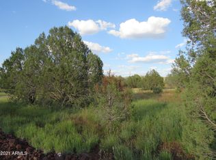 4301 N Hillside Rd, Williams, AZ 86046