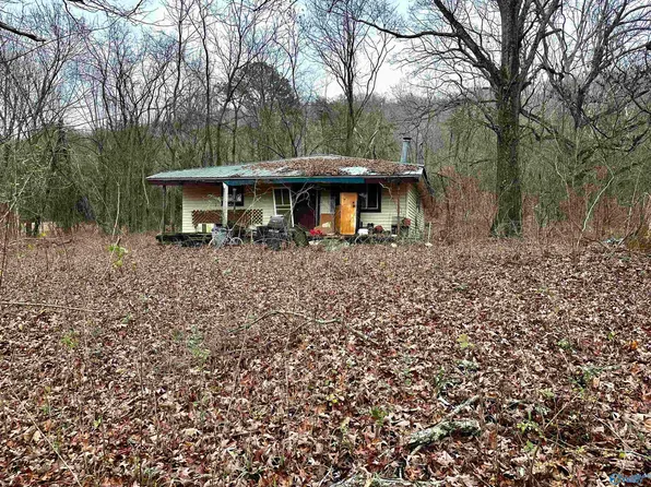 114 Carden Rd, Valley Head, AL 35989