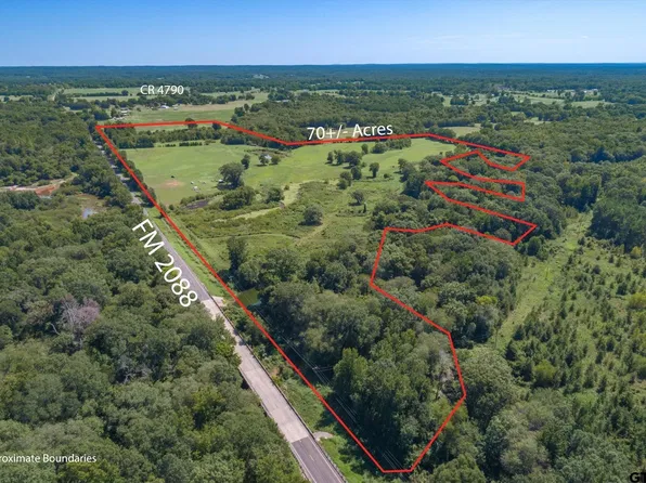 Tbd Fm 2088, Winnsboro, TX 75494