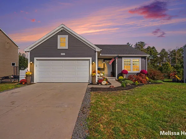 14541 Bigleaf Dr, West Olive, MI 49460