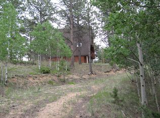 1103 Badger Trl, Florissant, CO 80816