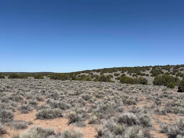 Horseshoe Trl, Quemado, NM 87829