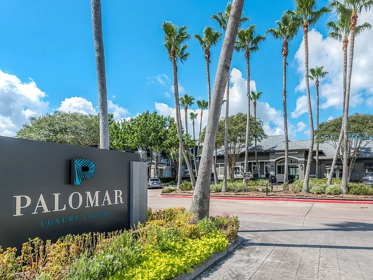 Palomar — Photo 20