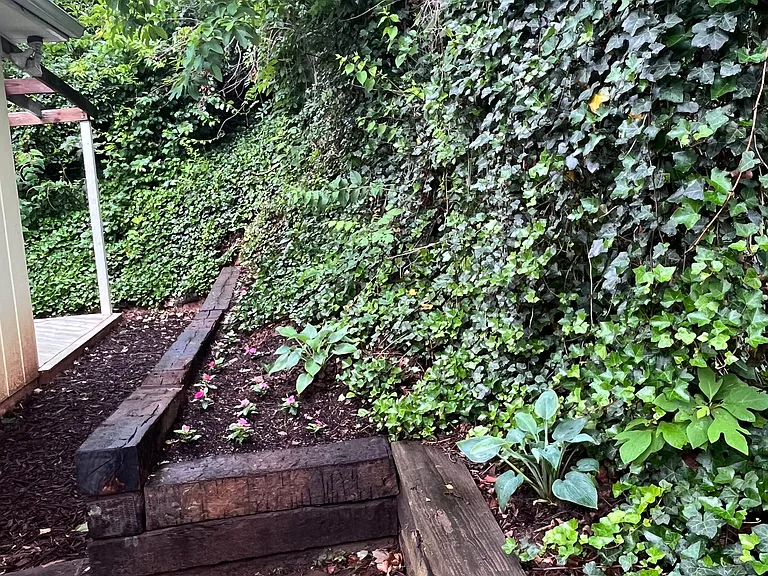 Back deck
