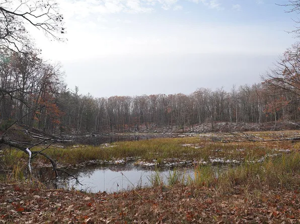 0 County Hwy W, Weyerhaeuser, WI 54895