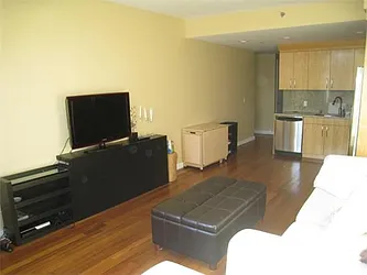 Rented by Platinvm Property Group New York