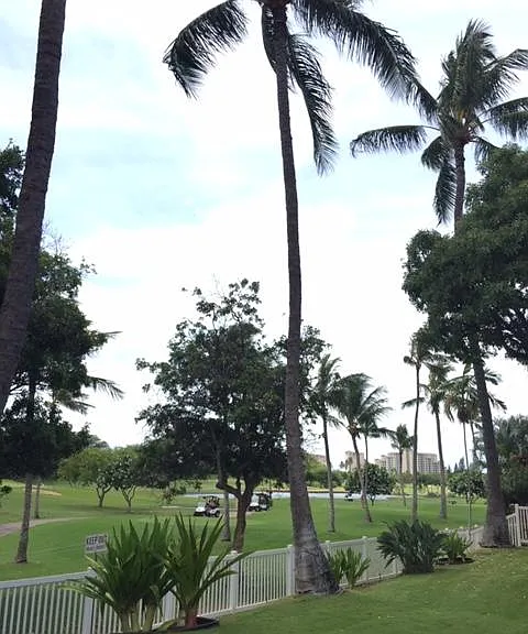 Aliinui Dr — Photo 4