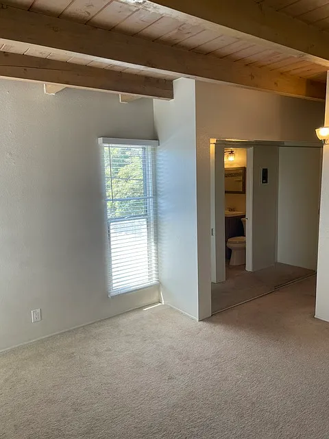 1 bed, 450 sqft, $2,000 — Photo 3