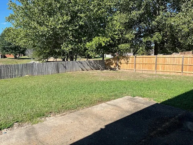 Back yard