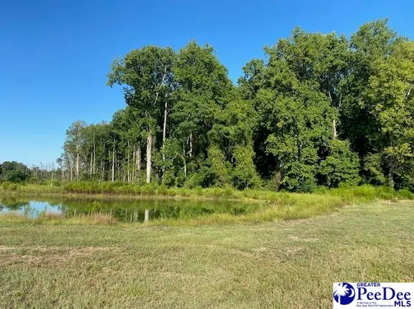 11 Nature Dr, Latta, SC 29565