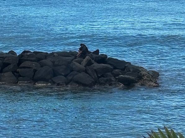 85-175 Farrington Hwy APT A429