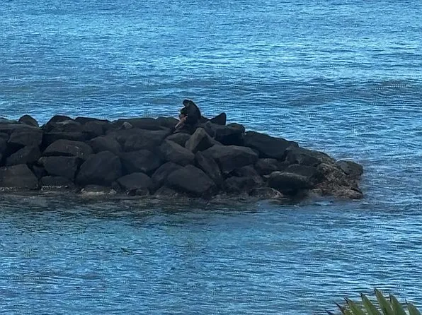 85-175 Farrington Hwy APT A429, Waianae, HI 96792