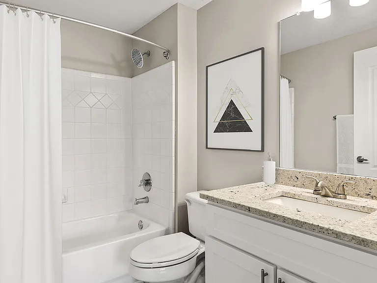 C195540_ArborPlace_1B1B_1134_BATH_02_VS