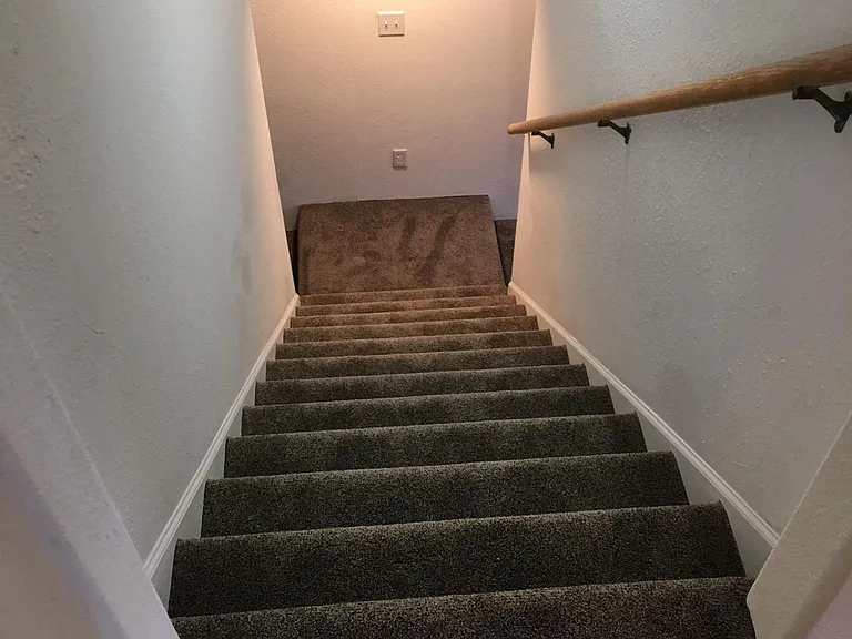 249 Magnolia Dr — Photo 9