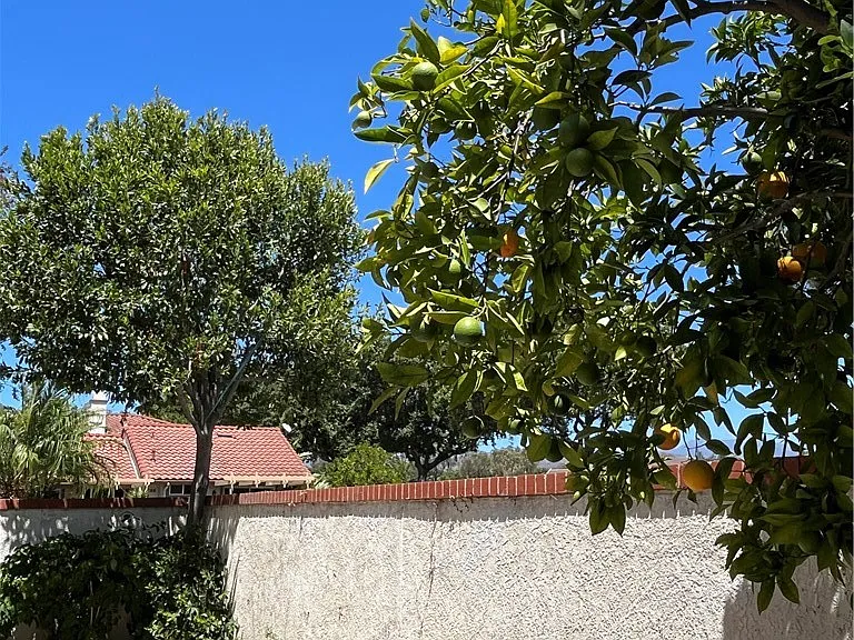 22 Vercelli — Photo 18
