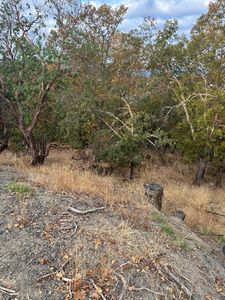 NW Woodson Dr #R311467, Grants Pass, OR, 97526