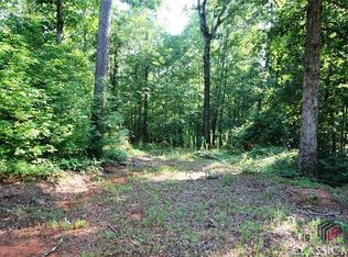 0 Jones Wood Ln, Good Hope, GA 30641