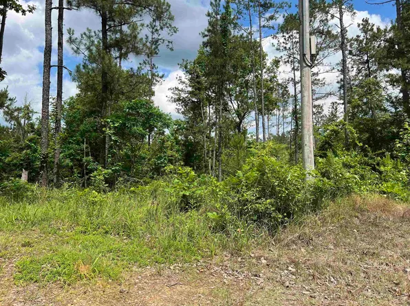 TRACT 2 Highway 346, Amity, AR 71921