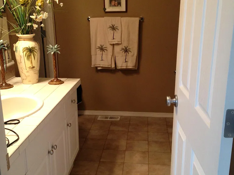 Master Bathroom with walk-in closet