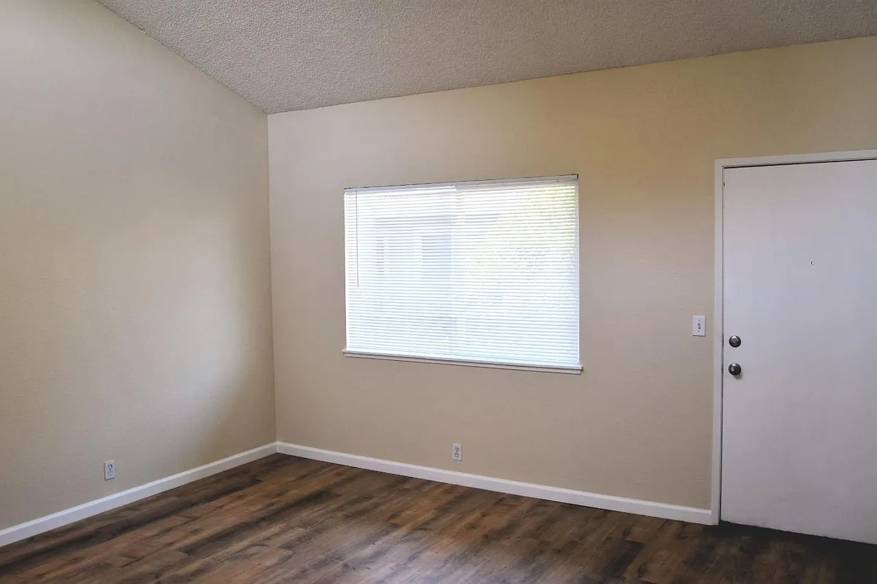 1 bed, 537 sqft, $2,499 — Photo 2