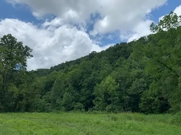 0 Wartrace Rd Lot 3, Whitleyville, TN 38588