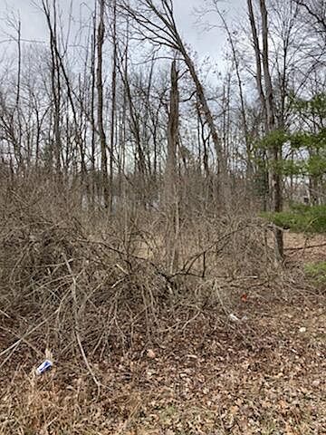2nd image of Lots 1 4 W Lakewood Grove Dr