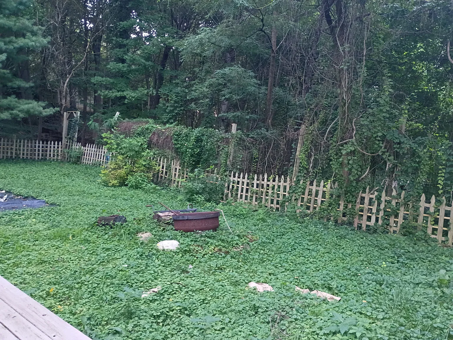 1 bed, 2.5 bath, 1601 sqft, $800 — Photo 3