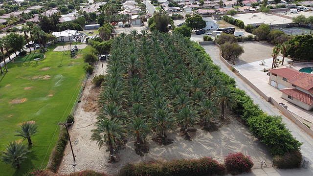 1st image of 41480 Yucca Ln