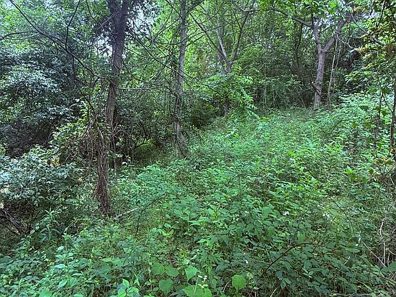 5th image of Chambers Rd