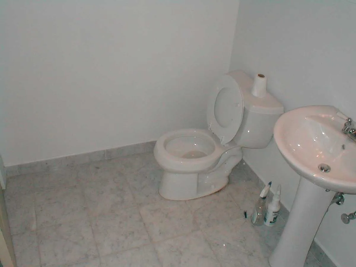1 bed, 750 sqft, $750 — Photo 3