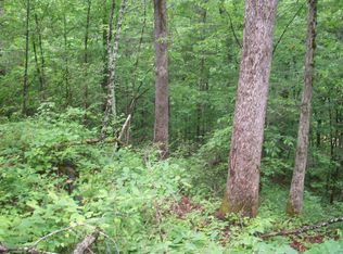 437 Chetola Trl LOT 105, Townsend, TN 37882