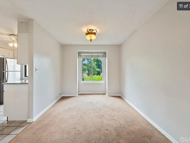 28 Carriage Pl — Photo 11