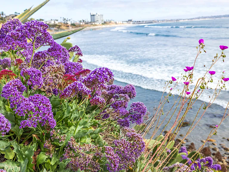 North Bird Rock Beach - 7 minute walk (.3 miles) View of Pacific Beach Pier