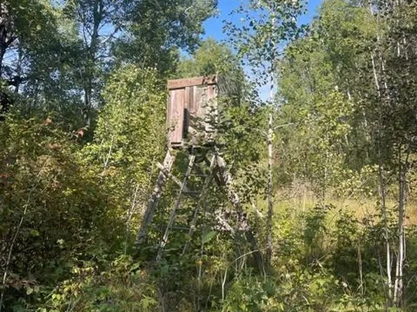 380 Street, Menahga, MN 56464