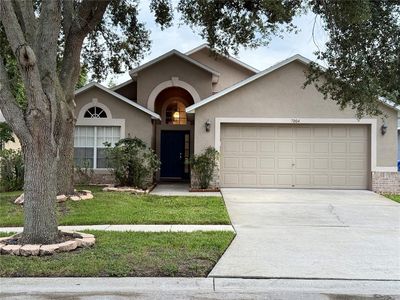 7004 Jamestown Manor Dr, Riverview, FL, 33578
