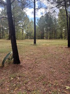 280 Baptist Branch Rd, Mount Pleasant, TN, 38474