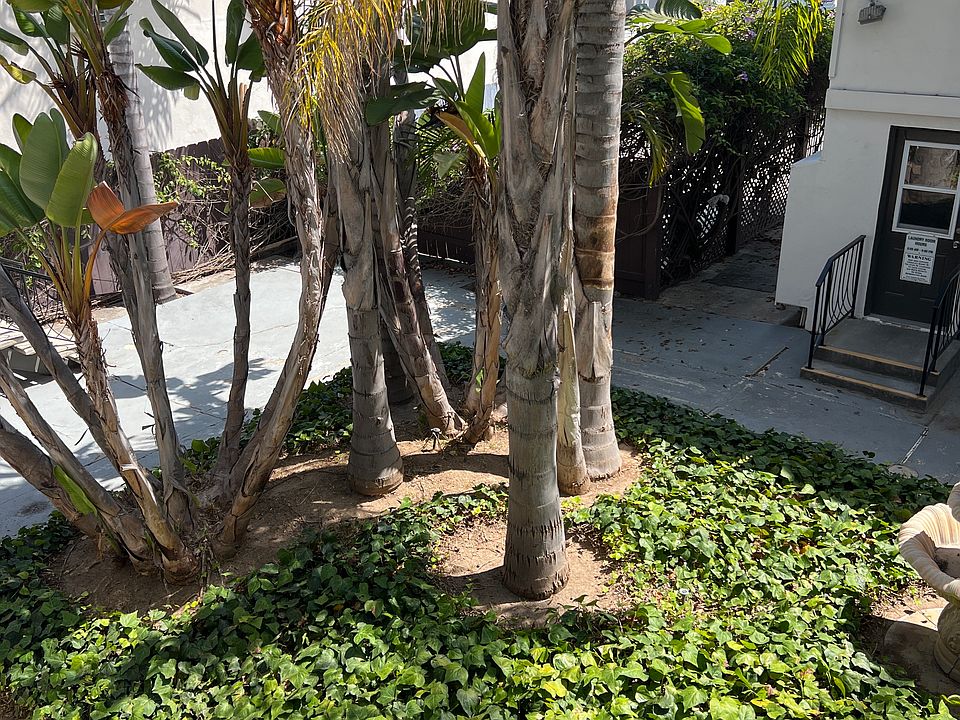 1st image of 3020 Hugo St #21