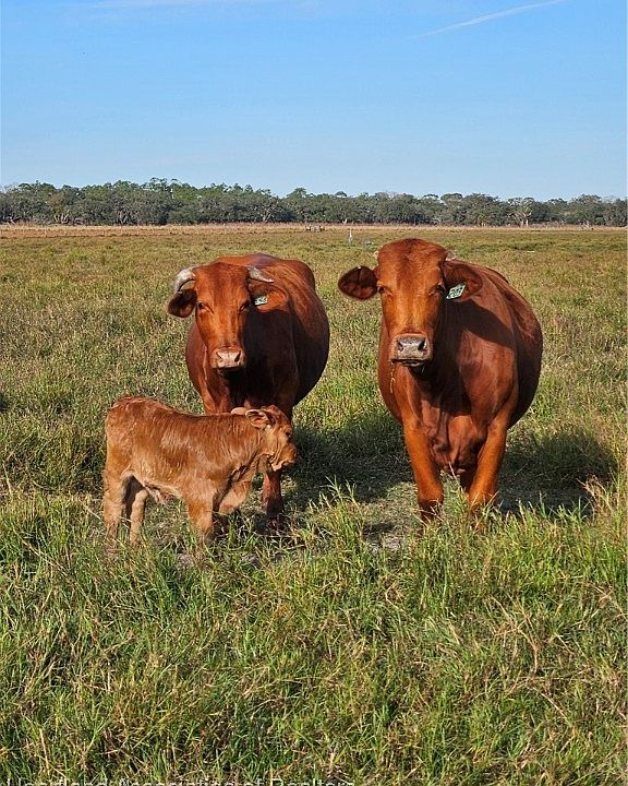 2nd image of 76 Magness Rd