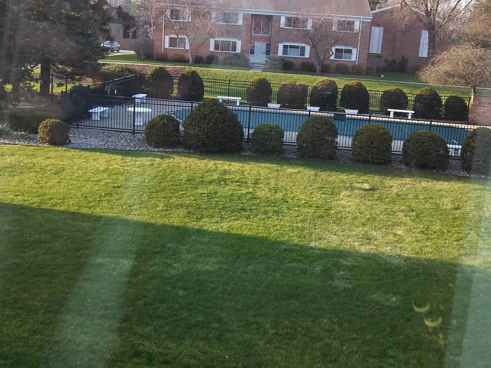 View from Living room and Bed Room